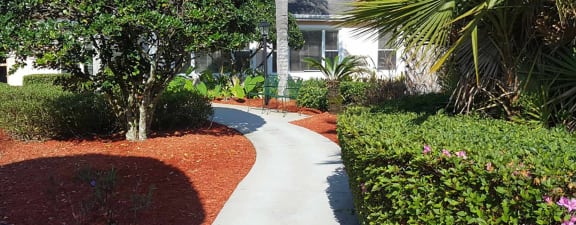 Courtyard Garden at Savannah Court of Brandon, Florida